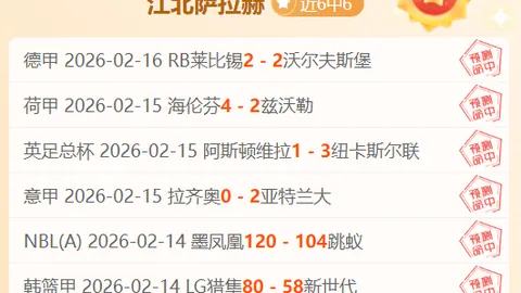 曼联或售梅努获利百万，夏窗或成离别时刻