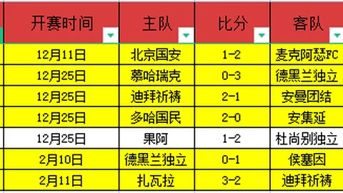 澳职赛场分析：奥克兰FC主场表现及防线情况
